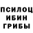 Галлюциногенные грибы Psilocybe Phalguni Bhuyan