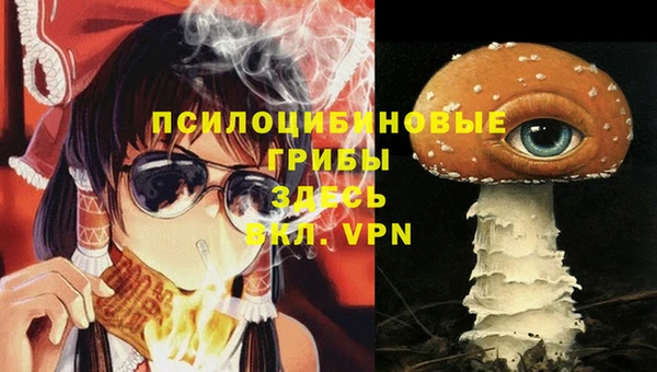 apvp Алзамай