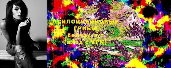 apvp Алзамай