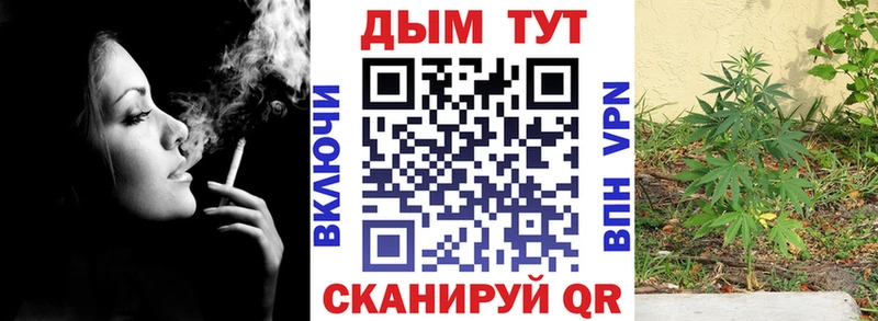 где купить наркоту Калтан Шишки марихуана планчик